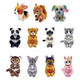 TY Beanie Babies - SET of 11 Fall 2021 Releases (Ying, Mitzi, Miso, Ace, Skylar +6)