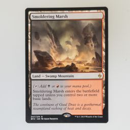 Magic the Gathering Card - Battle for Zendikar 247-274 - SMOLDERING MARSH *NM - Played*