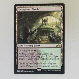 Magic the Gathering Card - Guilds of Ravnica 253/259 - OVERGROWN TOMB *NM - Light Played*