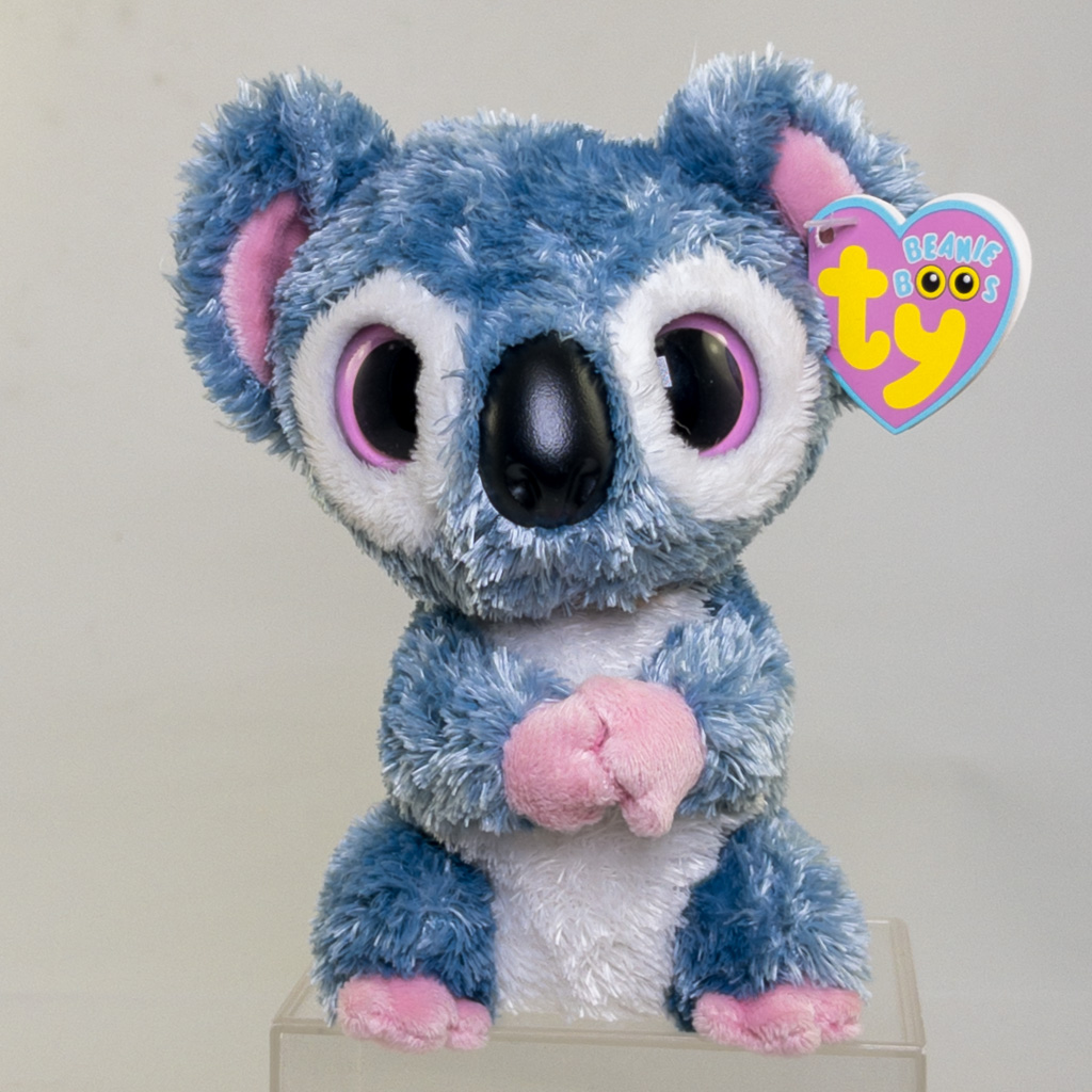 TY Beanie Boos - KOOKY the Koala (Solid Eye Color) (Regular Size - 6 inch) *NON-MINT*