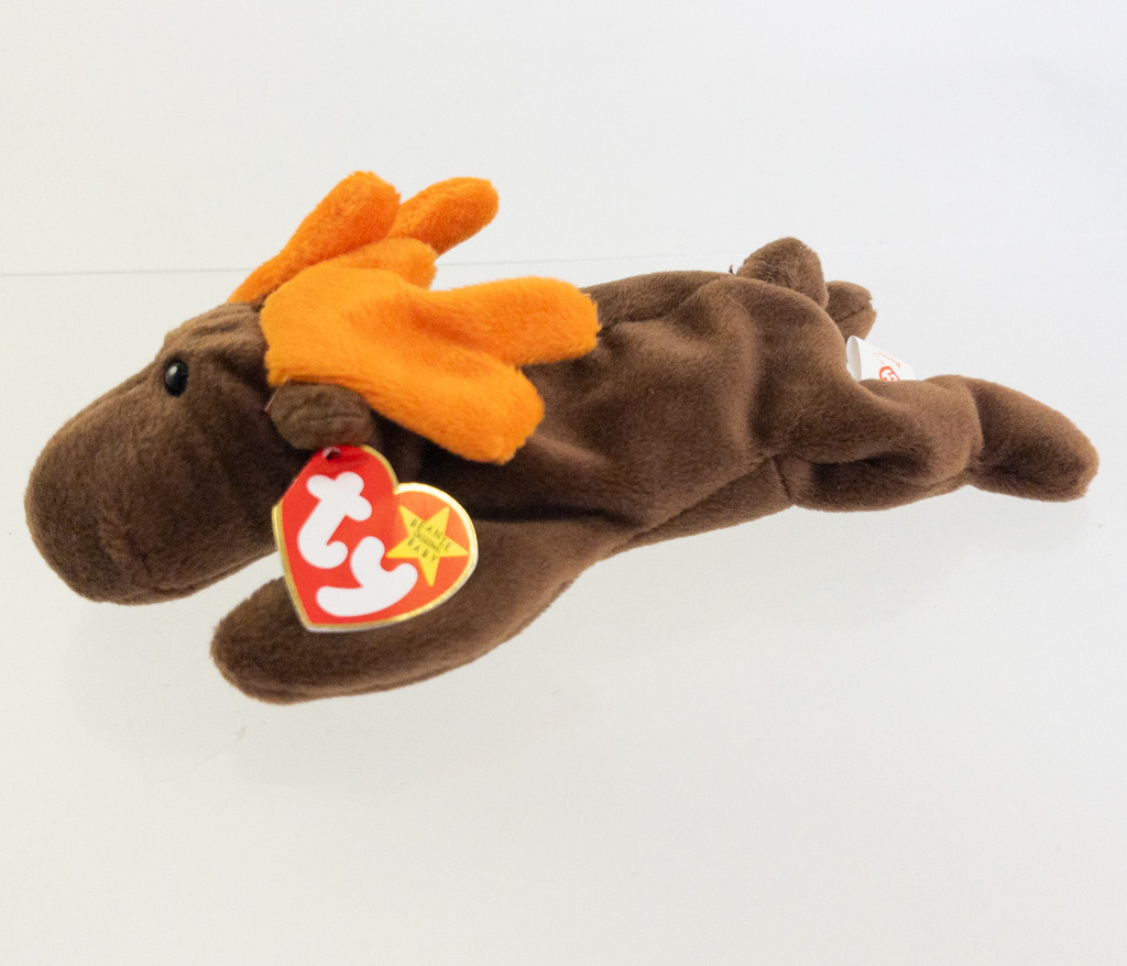 TY Beanie Baby - CHCOLATE the Moose (w/ Rover tush tag - ODDITY ...