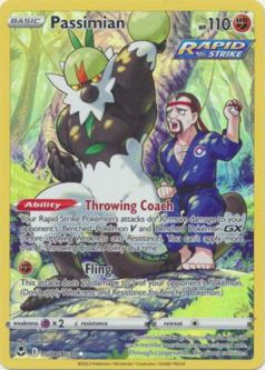 Pokemon Card - S&S: Silver Tempest TG08/TG30 - PASSIMIAN (holo-foil)