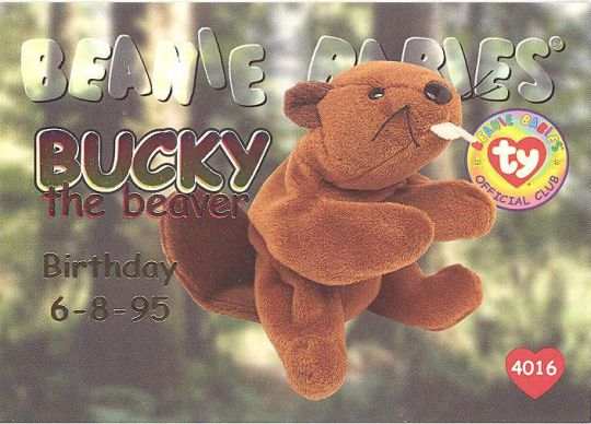 Ty Beanie store Baby - Bucky