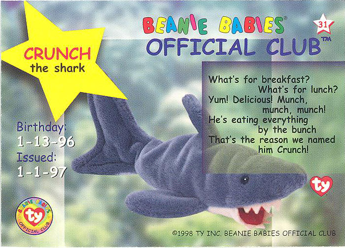 crunch the shark beanie baby