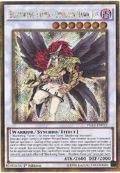 Yu-Gi-Oh Card - PGL2-EN012 - BLACKWING TAMER - OBSIDIAN HAWK JOE (gold secret rare holo)